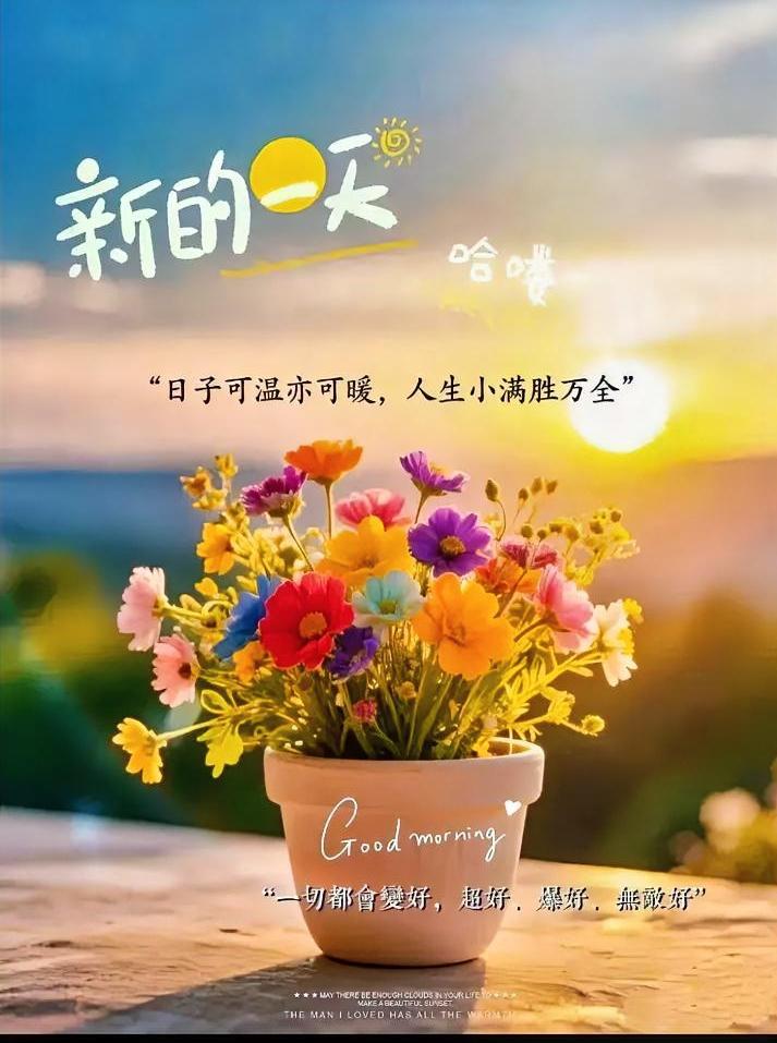 温柔又浪漫，像做了一场很轻的梦。