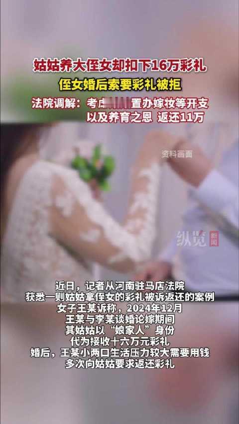 河南驻马店，一场亲戚之间的官司，把一段养育之恩彻底撕碎了。

告上法庭的，是侄女