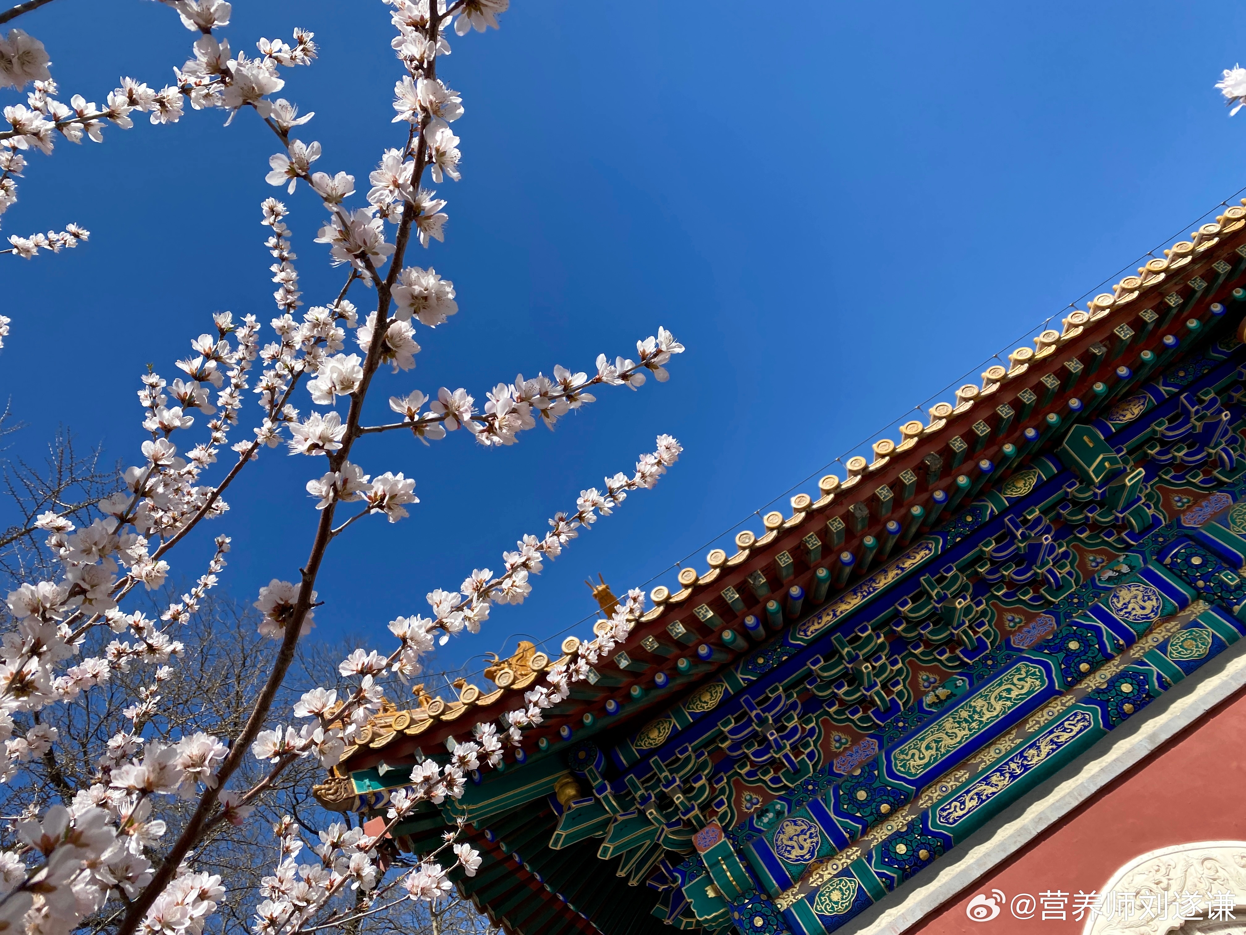 #最适合定居的城市# 认真地讲，虽然北京的天气有时候让人挠头，但这些年的绿化和环