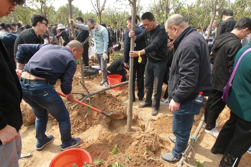 生前孝和死后孝，我肯定倾向生前孝。生前孝是让父母实实在在感受爱，你给他们做饭、陪