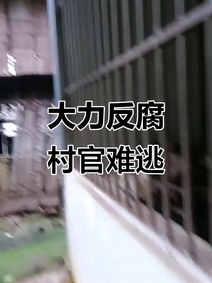 中纪委反腐向基层下沉，各地连查村官，释放什么信号 ？

中纪委反腐从党政机关一路