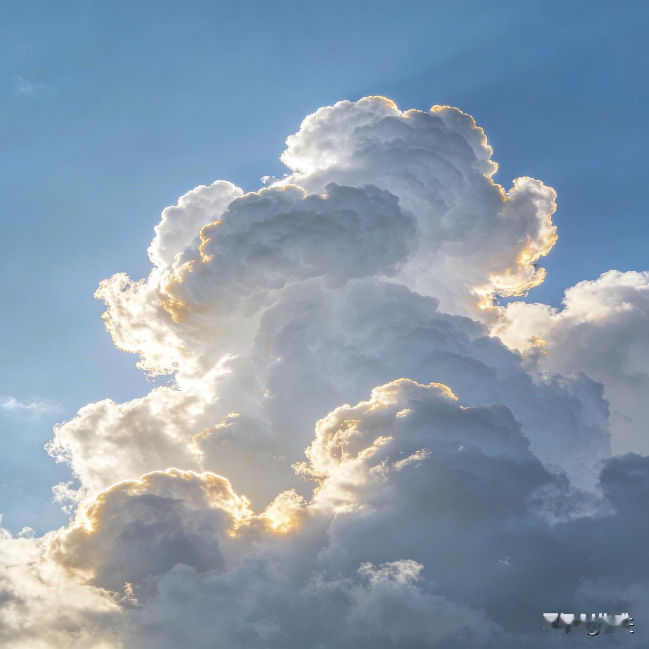 七绝·念旧情浅悟
 
“一生回忆两杯茶，敬了青梅敬竹花。欲在残年寻旧迹，老墙根下