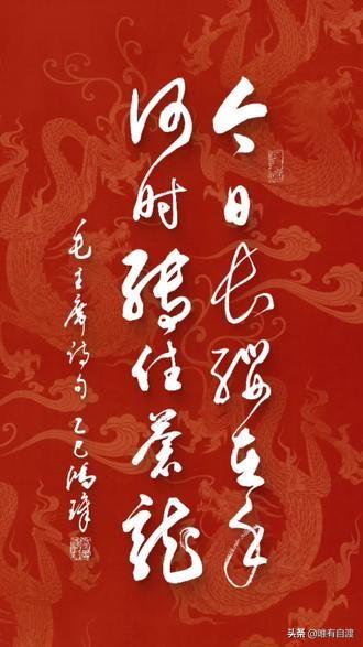 今日长缨在手，何时缚住苍龙。
毛主席这下这首诗的时候，曾特意专门注释“苍龙：蒋介