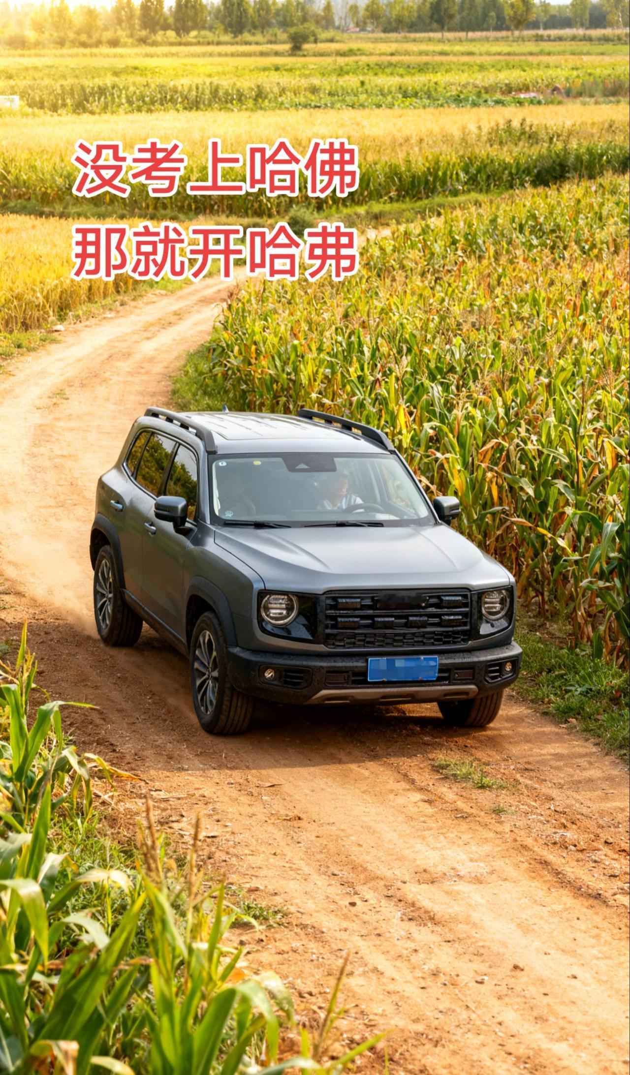 一年的车，还没跑一万公里呢