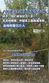 南阳一对80多岁的夫妇被蜂群刺死。他们的家人怀疑有人偷蜂巢酿造悲剧。警方介入调查