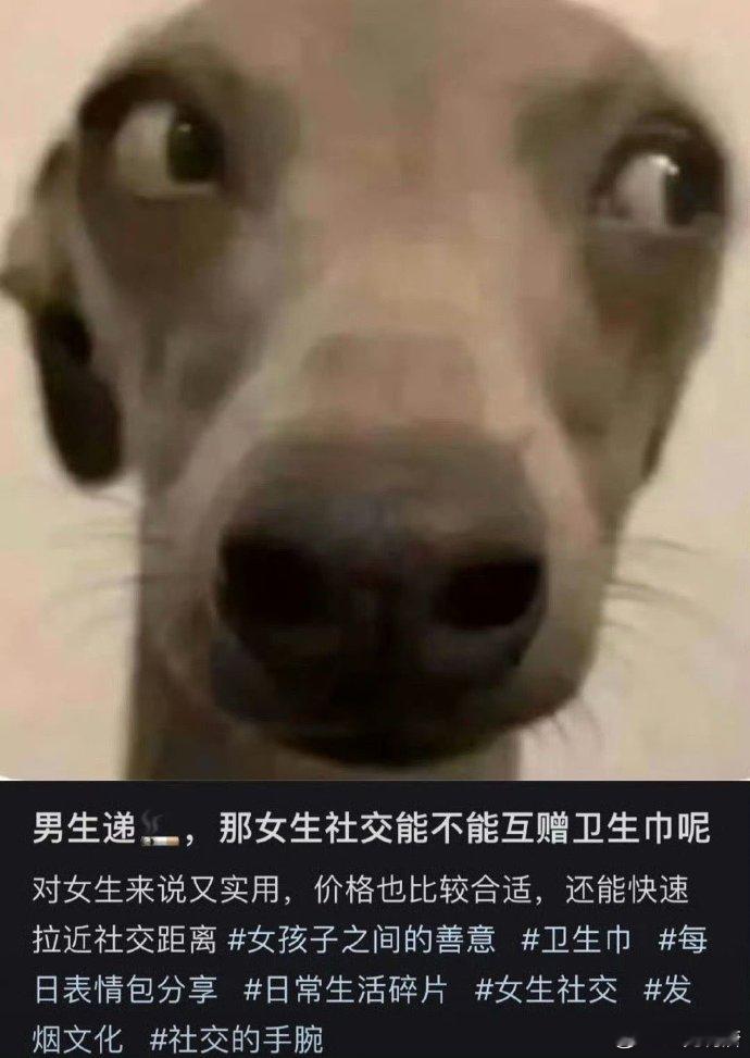 我觉得挺好 