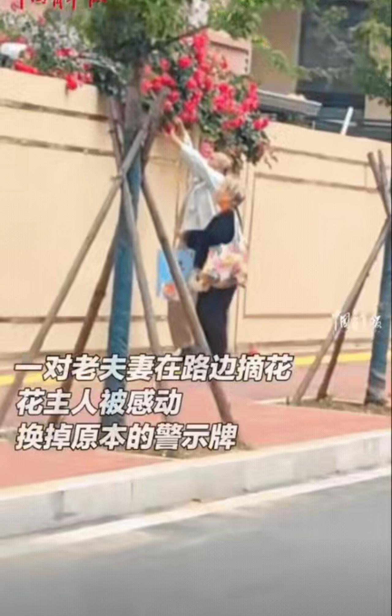 全网治愈！女生贴警示牌护花，撞见老夫妻折花，走近一看瞬间红了眼眶

太治愈了！山