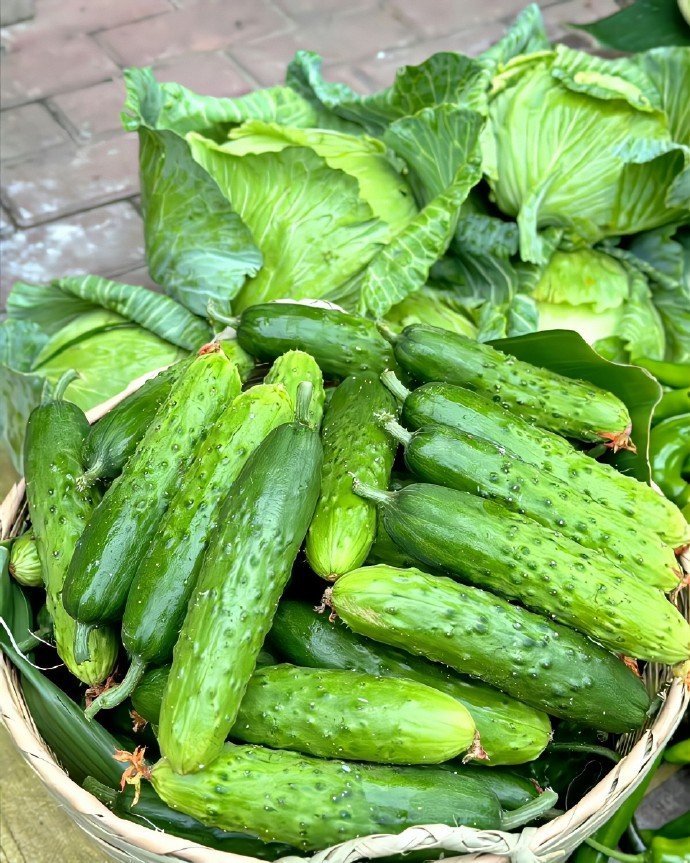 “ 老家才是疲惫生活的解药 ” 