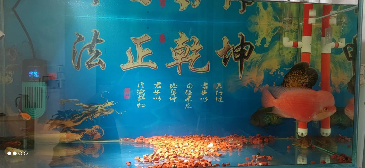 实习律师第162天
        实习律师应该都会不得已做些违反律所规定的事。
