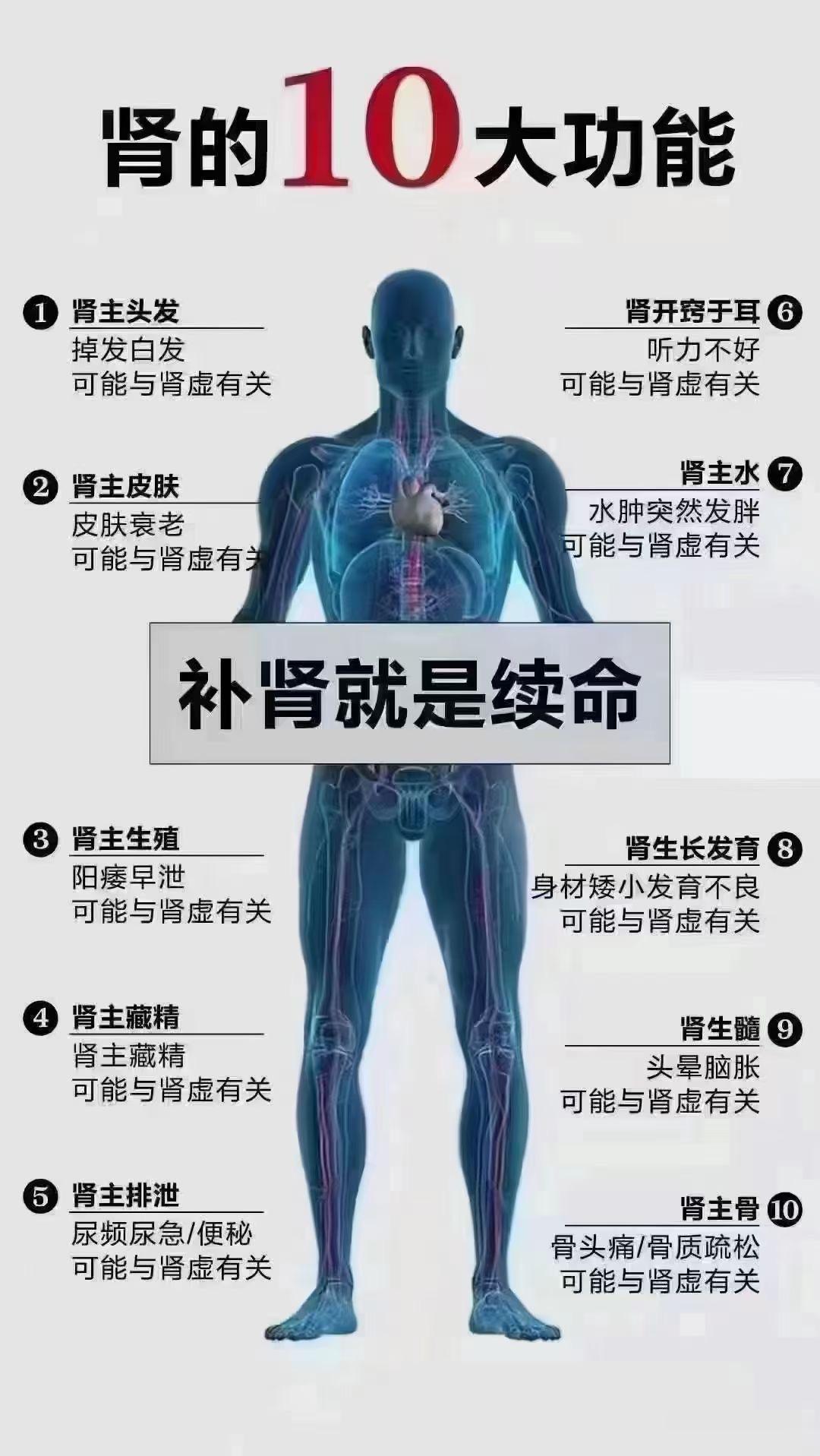 阳痿早泄，腰痛，脚软脚肿，腰下冷，下肢及足部冰凉等——孙氏益肾振阳汤作者 / 刘