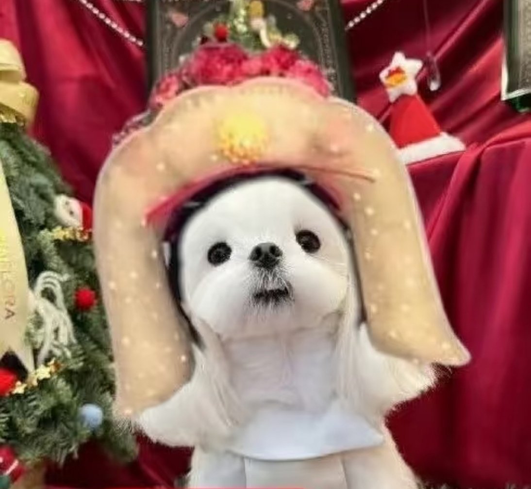 李一桐垂肩冠造型，其实还蛮还原的。桐姐脸在江山在