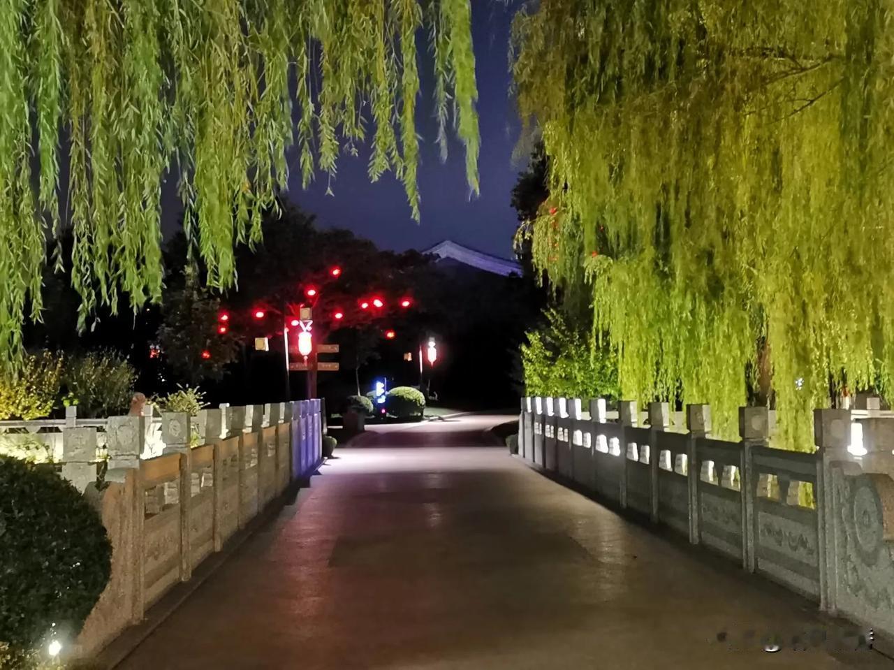 月光下，垂柳轻拂，红灯笼点缀，静谧而美丽。