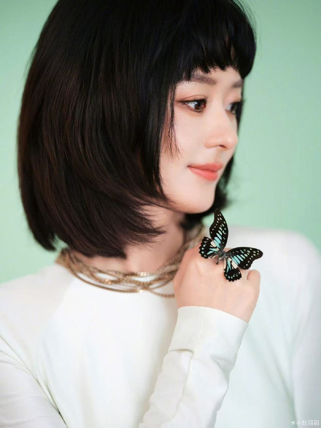 赵丽颖说新发型喜欢赵丽颖晒了新发型 新发型喜欢 