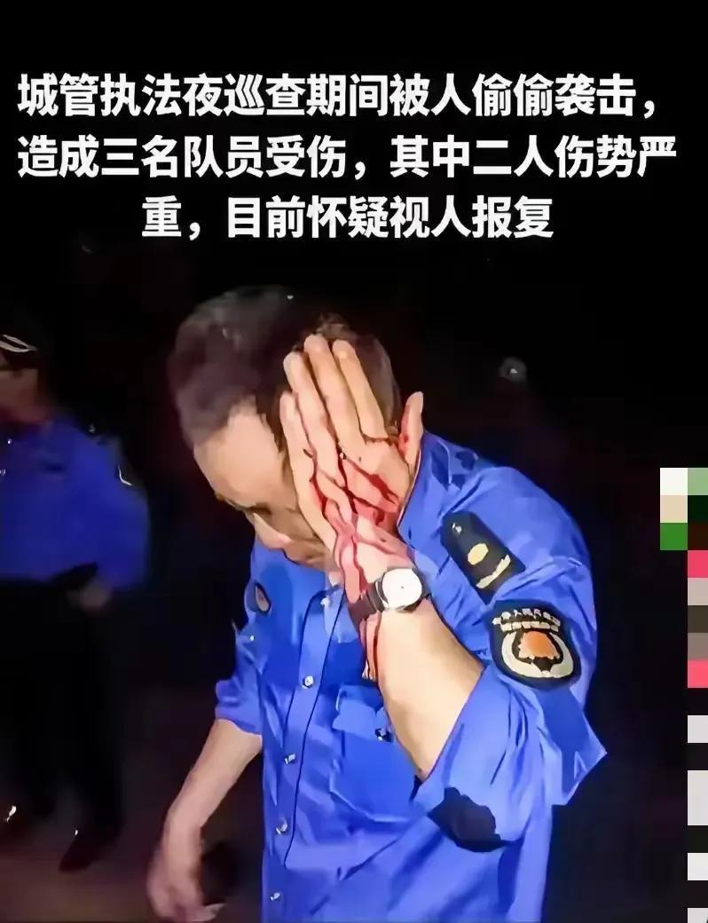 城管夜里还巡查什么？
         治安管理应该是派出所的事吧。