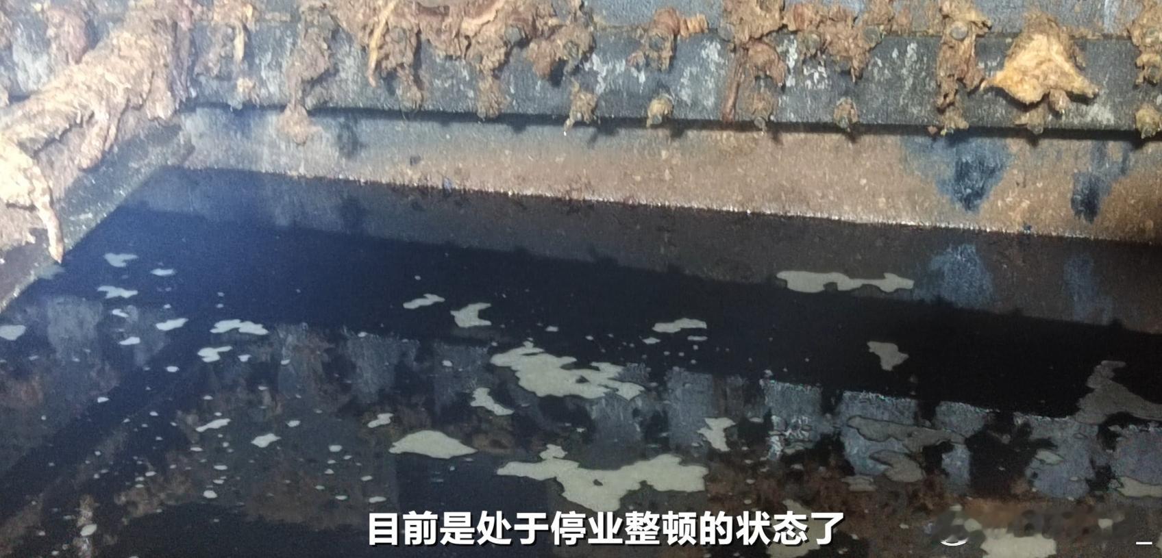 违规炼动物油作坊满地蛆虫老鼠 你是说我们吃的油是从这个全是死老鼠的烂泥坑里提炼出