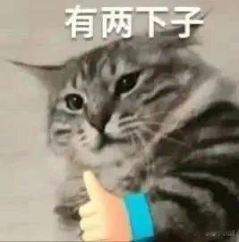  雅迪新国标车原来这么多雅迪新车上市有前后座有车筐 发现雅迪新惊喜！C09新国标