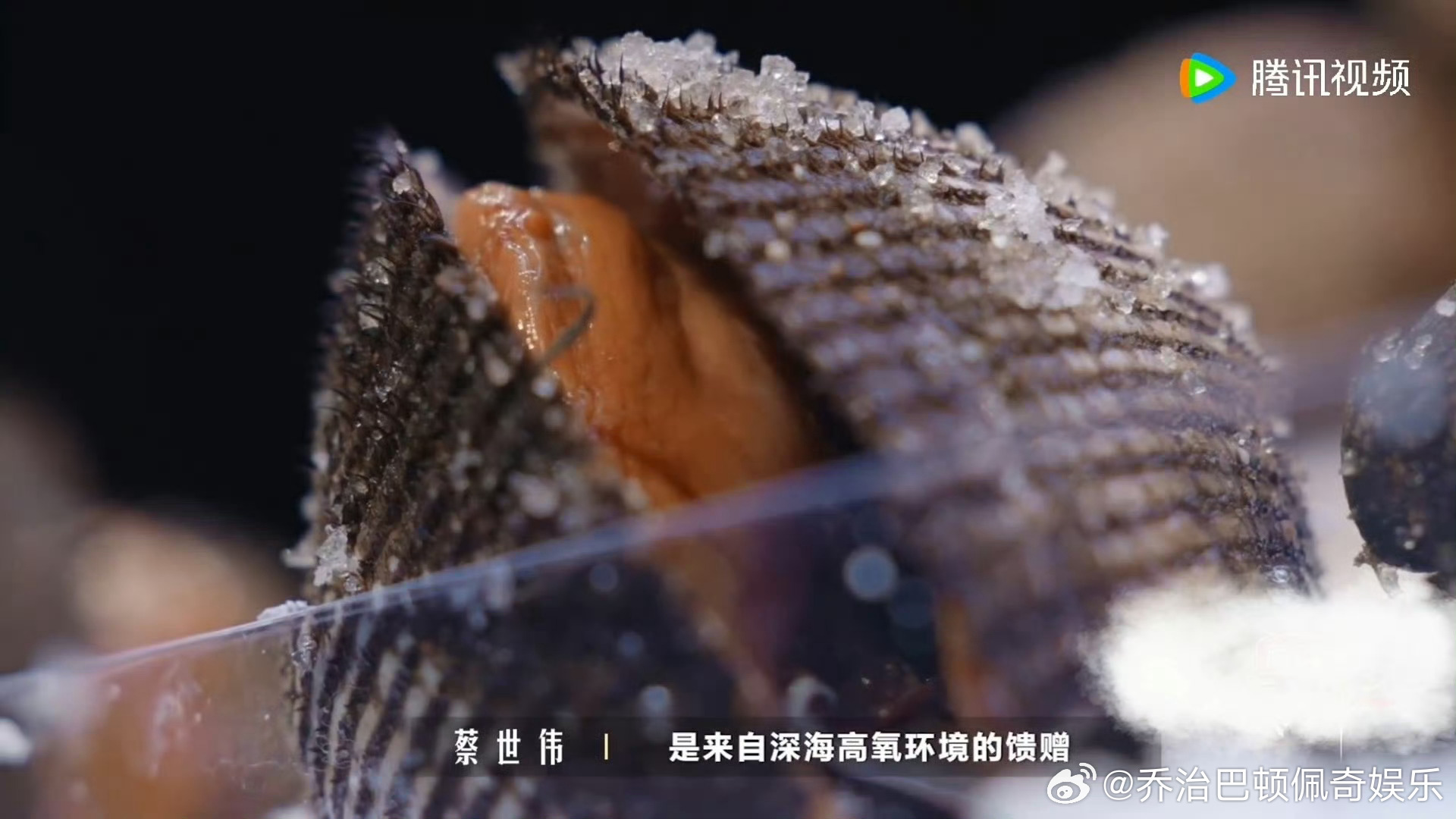 国家级认证食材有多难得赤贝原来是东北家乡菜🌟跟随《一饭封神2》认识旅顺赤贝，国