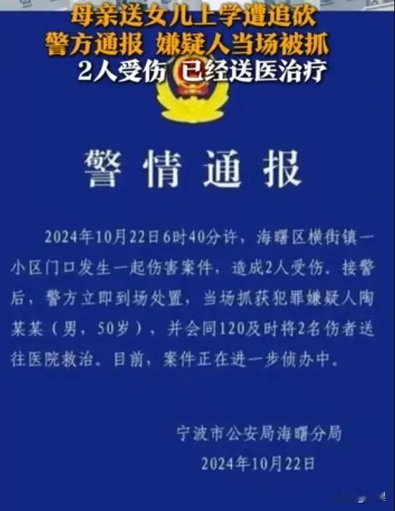 母亲送女儿上学遭追砍 警方通报 嫌疑人当场被抓 2 人受伤 已经送医治疗
 
这