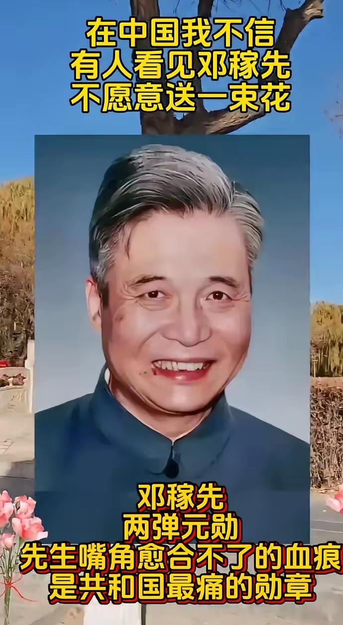 在咱们这片土地上，谁要是听了邓稼先的故事，心里不泛起点波澜都难。他嘴角那道从年轻