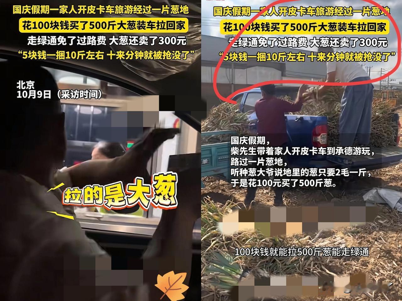 “赚大发了！”北京一男子开皮卡车带家人到承德游玩，路过葱地一听才2毛1斤，大哥当