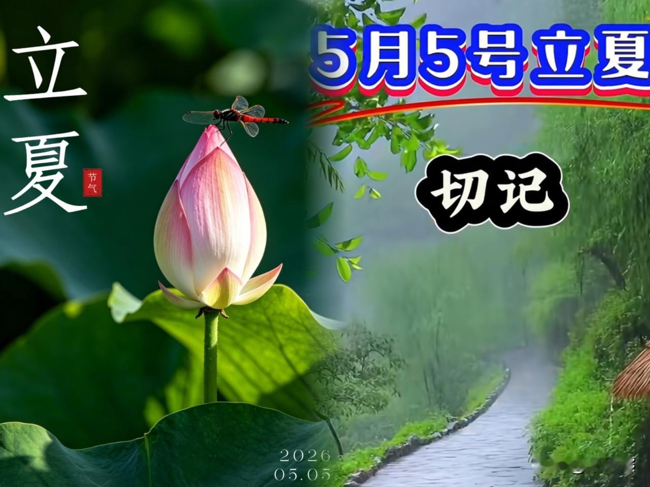 昨天晚上，我问我婆婆为什么立夏要吃鸡蛋，她说今年的立夏可不一般，碰上了120年才