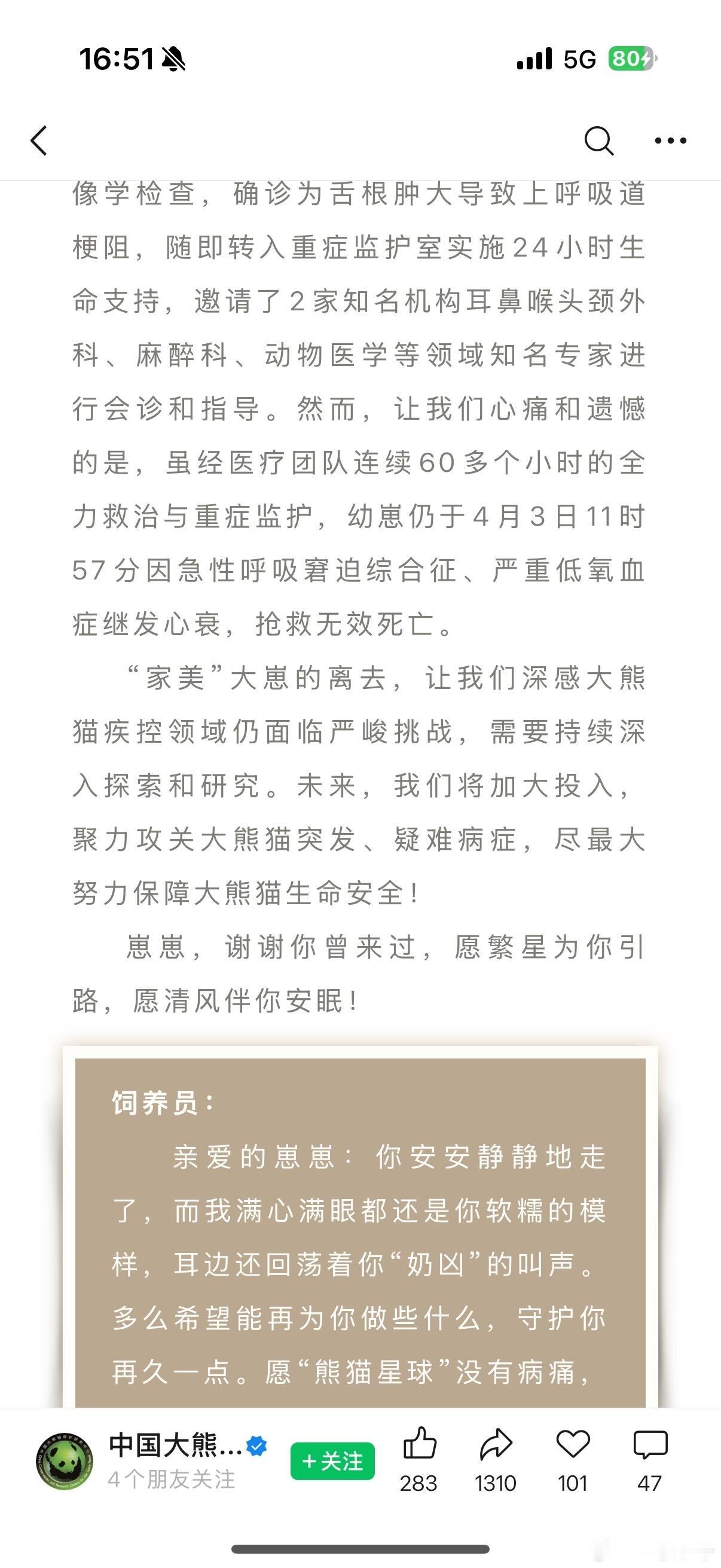 刚刚刷到🫘简直不敢相信自己的眼睛，我最近天天在网上刷到的那个还没有一岁的熊猫小