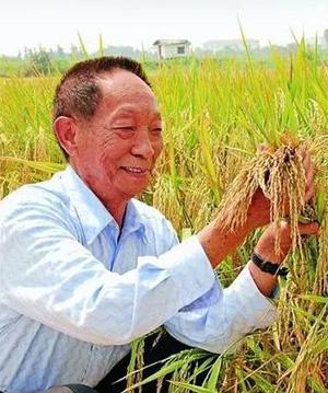 1994年袁隆平递报告申请一千万科研经费，李鹏当场签字批准，一年后却笑问道：你咋