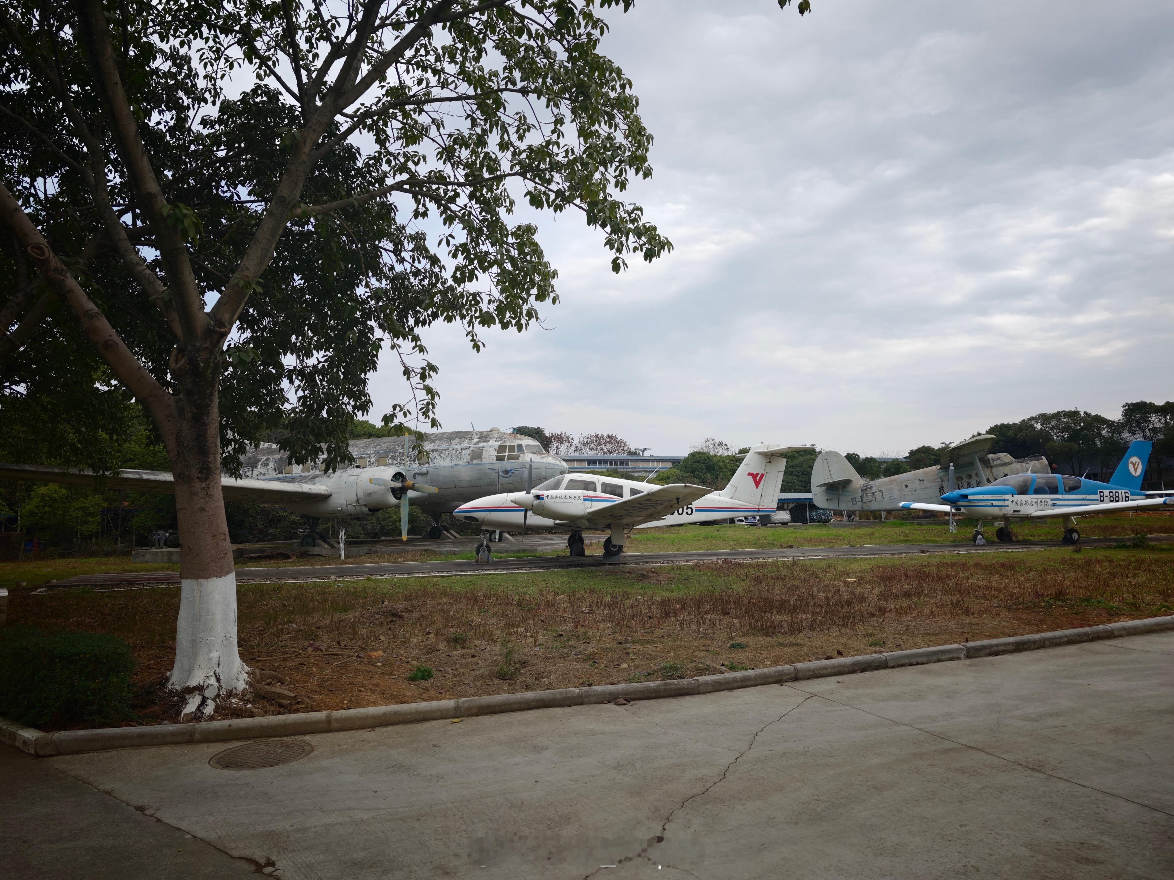 感觉徕卡生动也挺德味的啊 