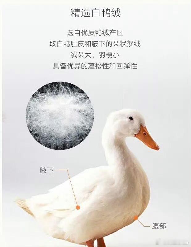 一吨鸭绒都从17万涨到了58万了！这是不打算让我们穿羽绒服了嘛？这么贵快管管吧，