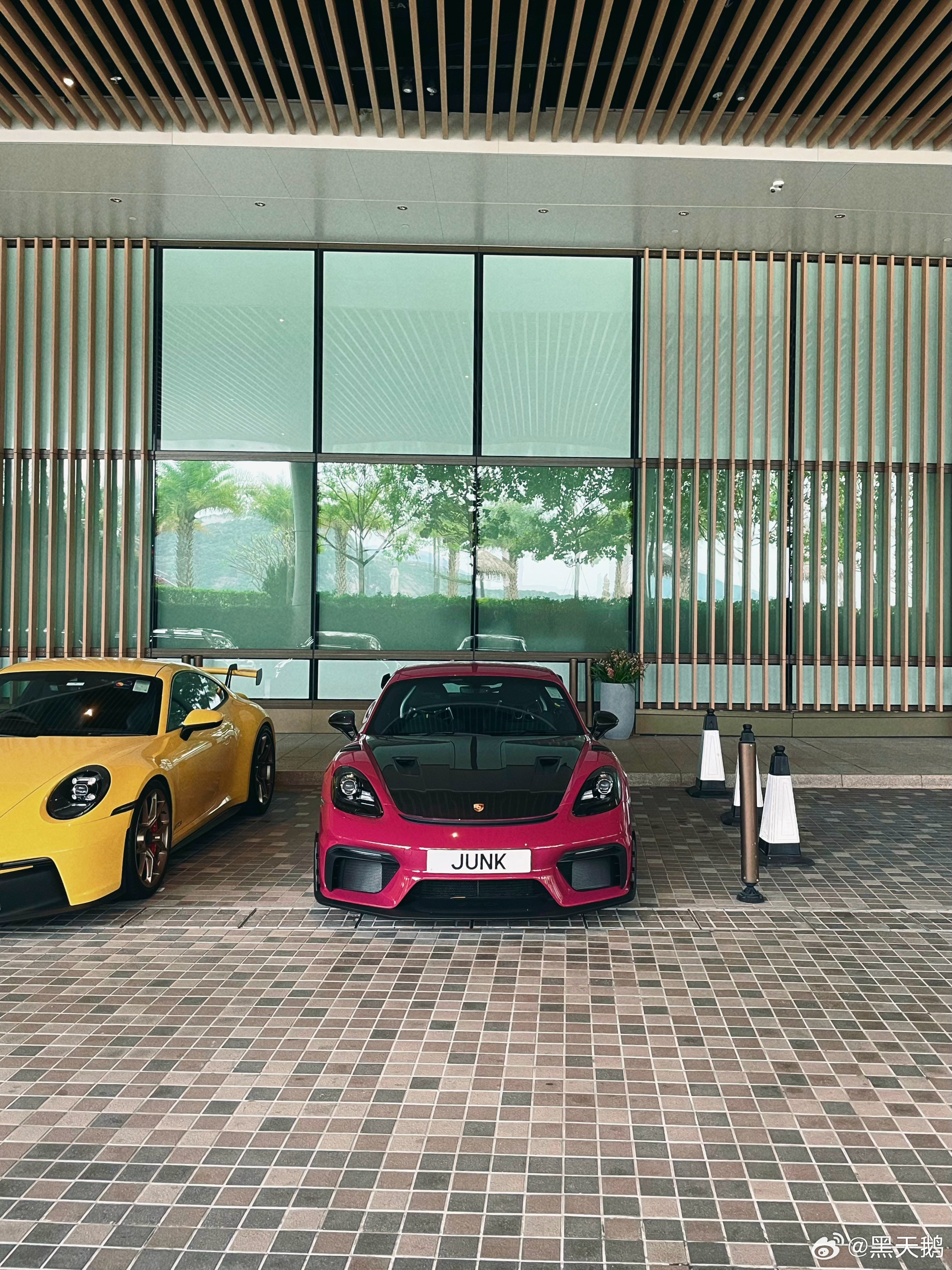 蛤蟆族群成员的大头照🐸你们最喜欢哪个？我最喜欢997.2GT3RS[喵喵]  