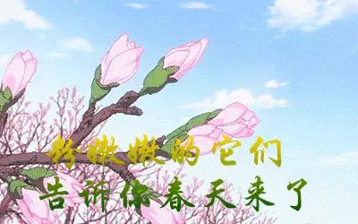 春风来了，春水绿了，又到了我结伴旅游的大好时期了。
走出去享受春天。