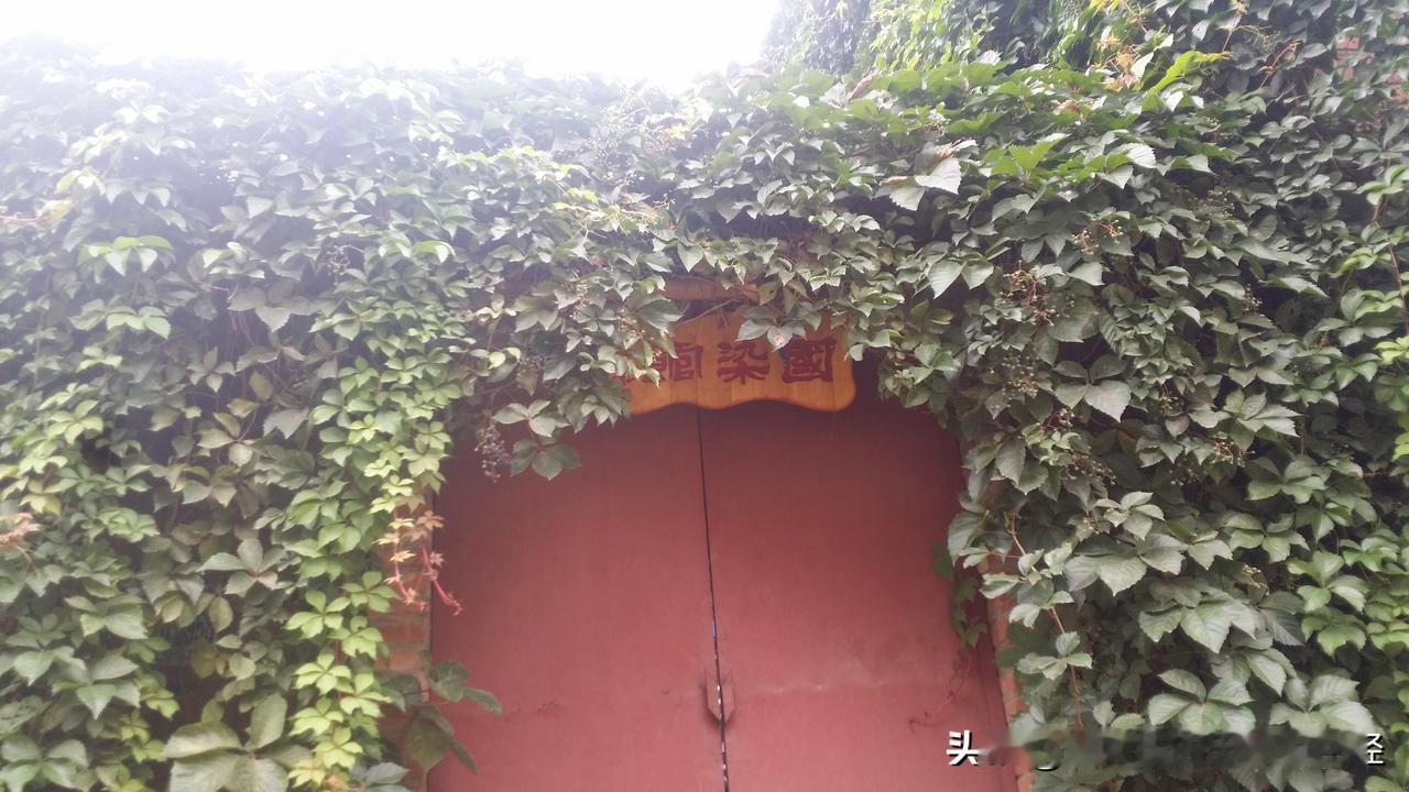 #非遗传承##植物染#北京国染馆今年十二岁了！
今天是八一建军节。十二年前的今天