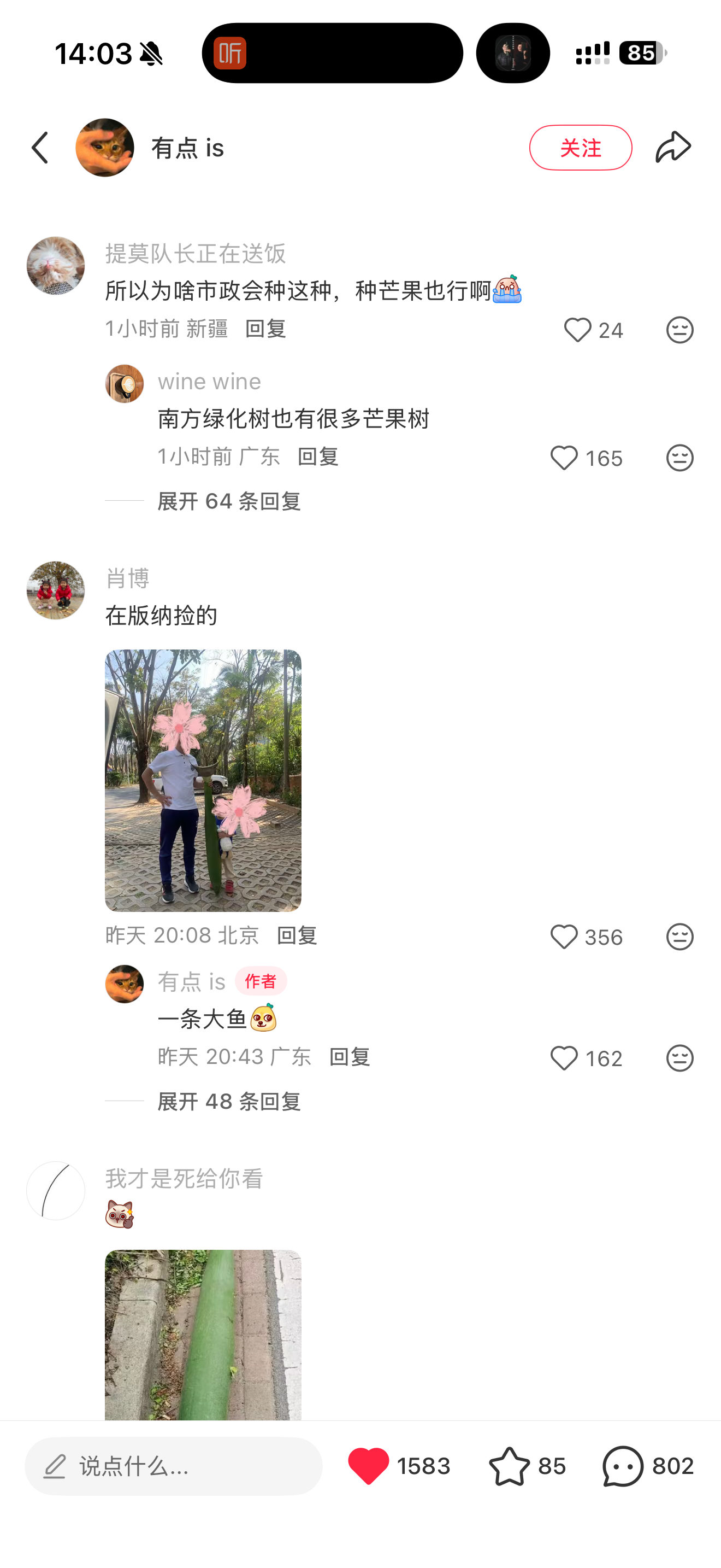 大王椰依然这么权威哈哈哈哈哈哈 