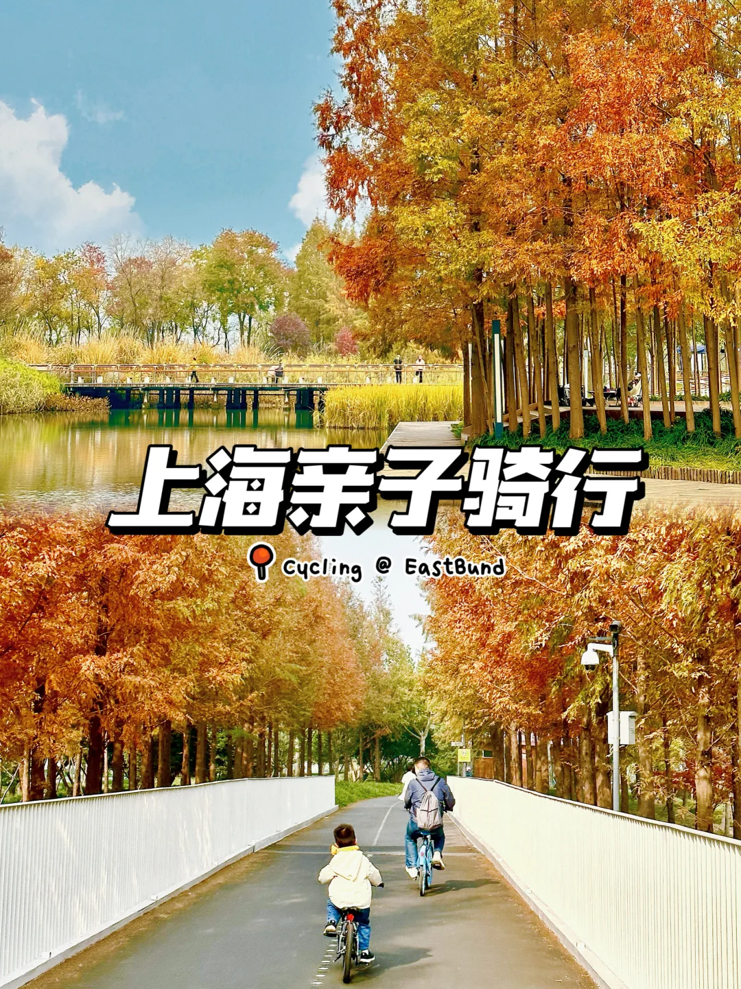 亲子骑行｜🍁秋天最美🚴路线❗️千万别错过❗️