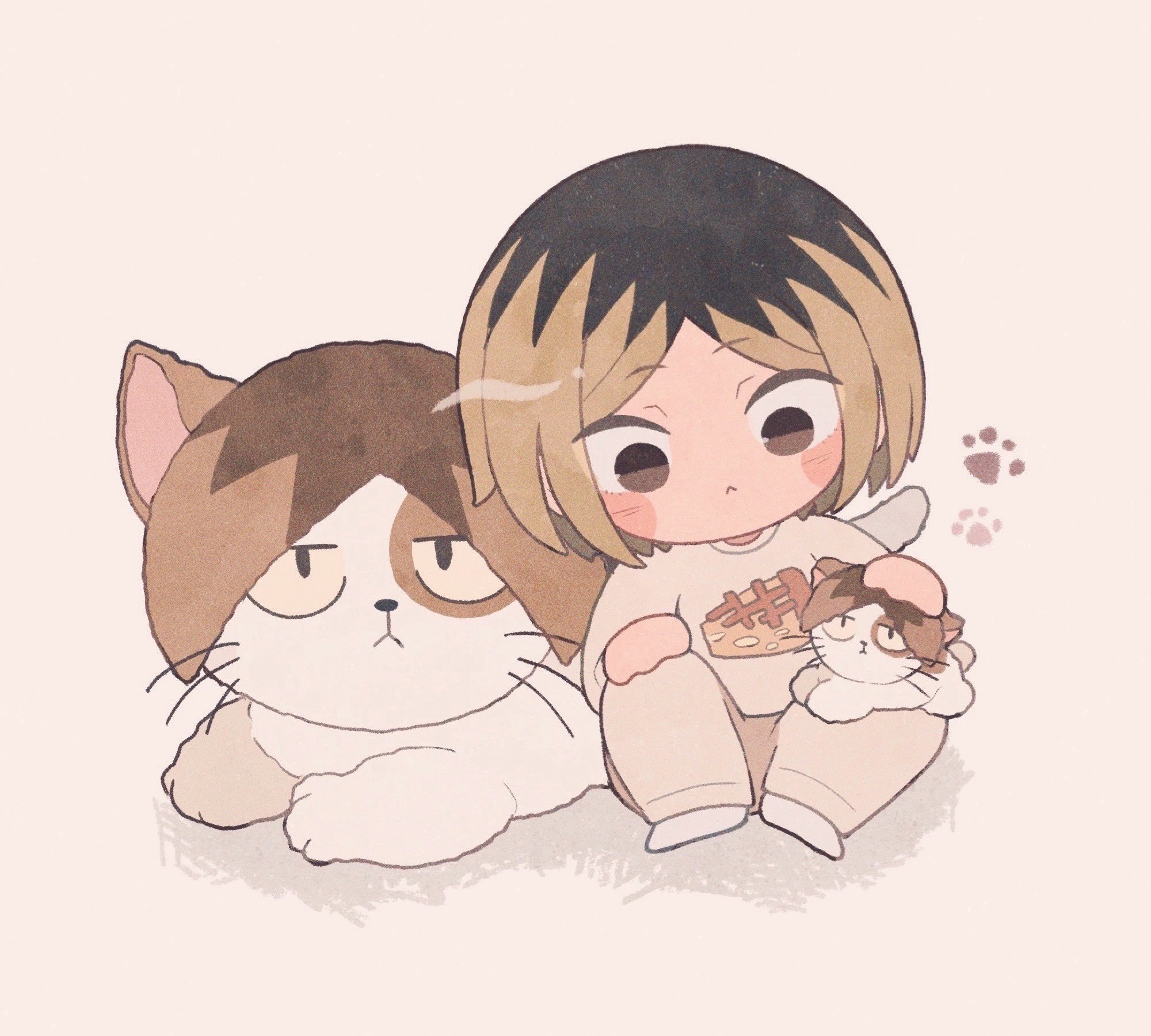 #排球少年[超话]##排球少年# 可爱小猫 ​​​