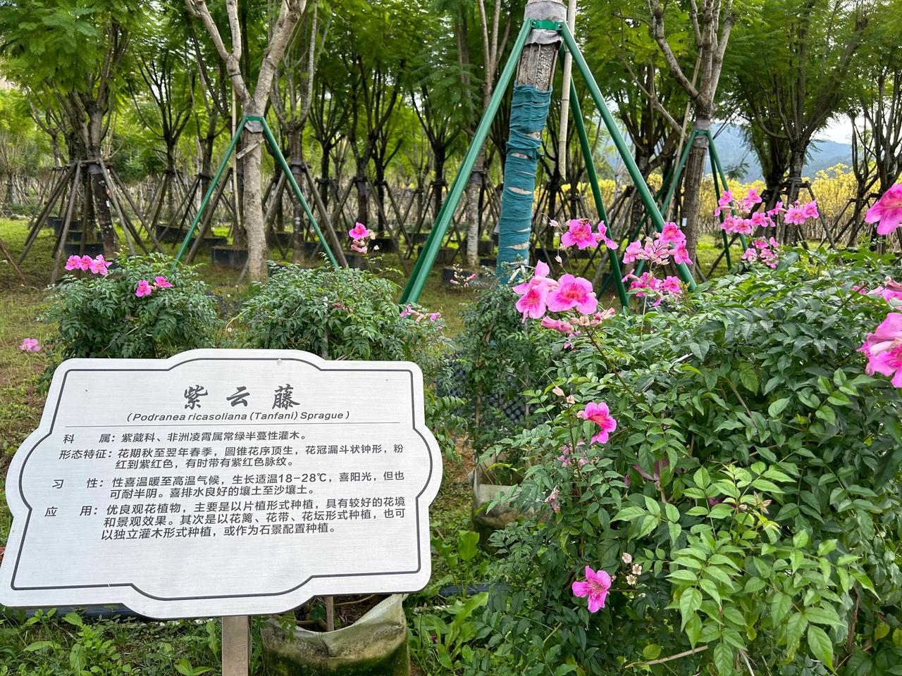 跟其他小说比较，言情小说总体来说是比较肤浅的，没有深度阅读的价值，个人没有完整地