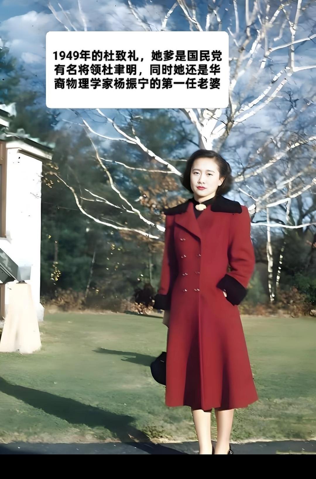 图片来白网络