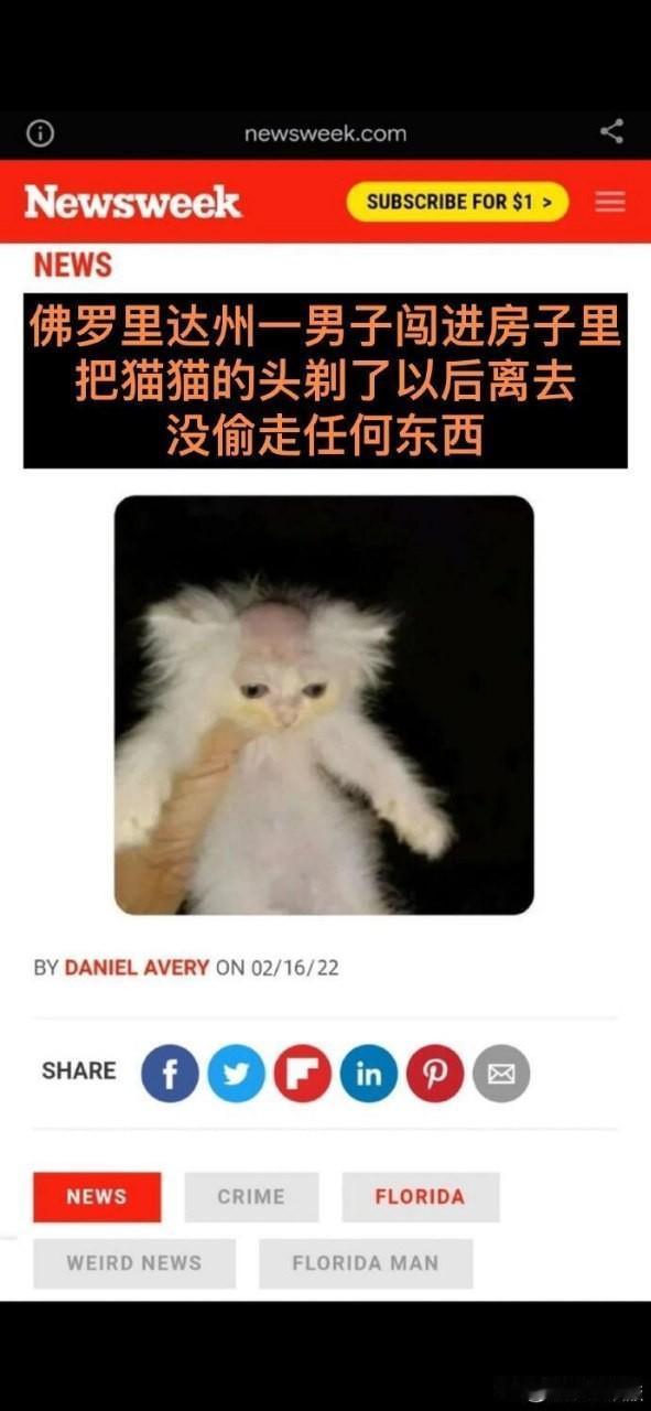 有人猜是情感矛盾泄愤
