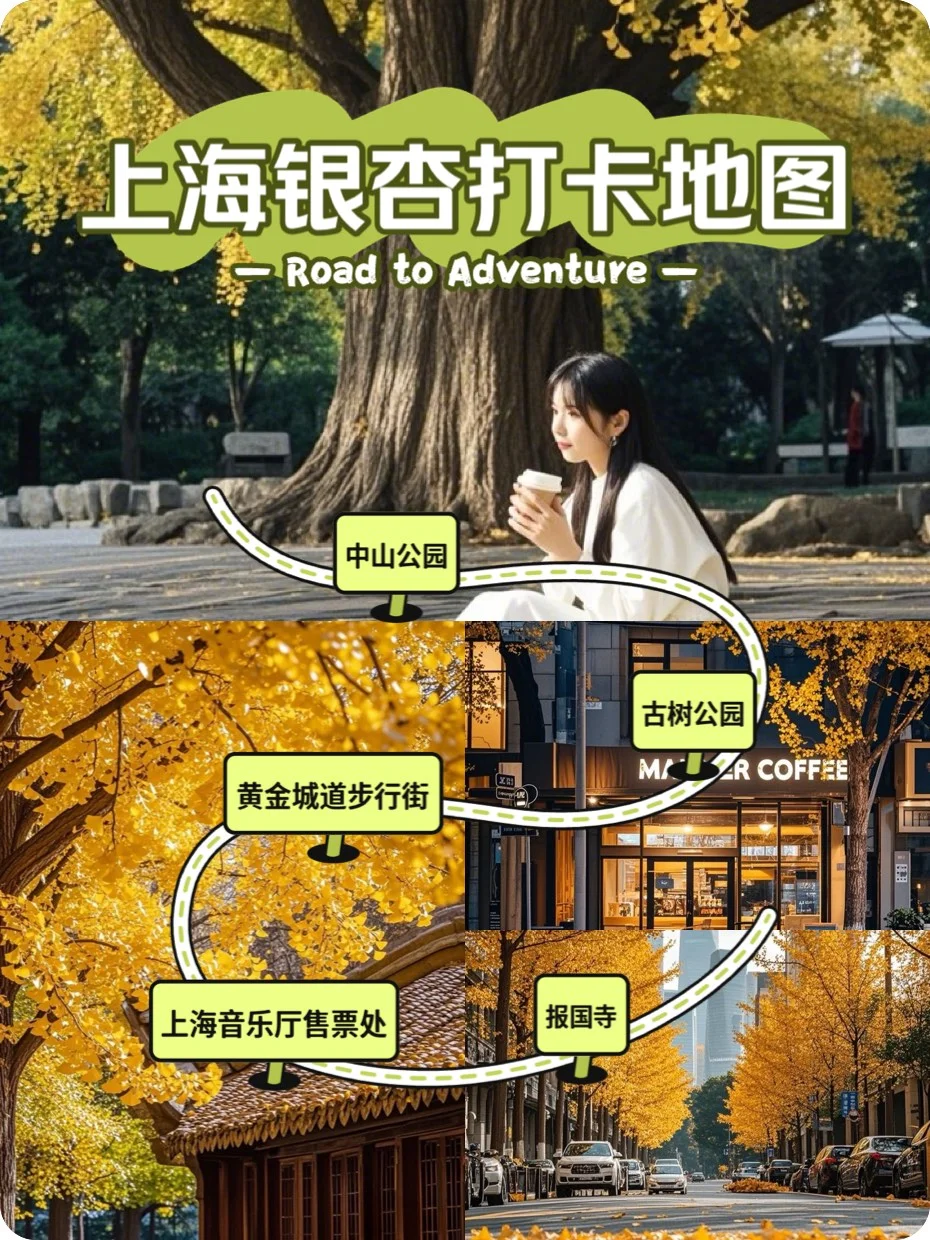 就在这个星期❗️上海银杏将一夜变黄，打卡地