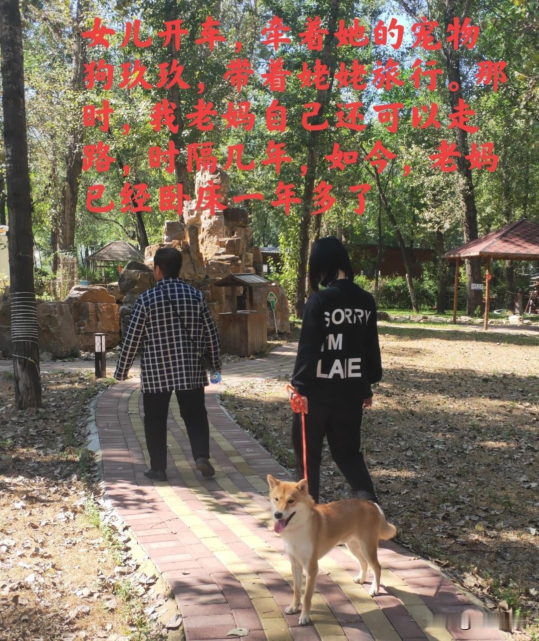 泪目！一首《父亲》，让独自带80多岁老父亲旅游的女儿潸然泪下

近日，一新疆女游