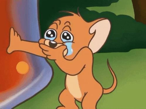 最近的近照大概率会是霉霉姐结婚前最后一次公开露面了😭 