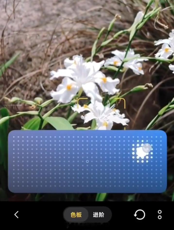 原来vivo也跟进了iPhone的调色板，印象中华为也有，挺好用的这个功能 