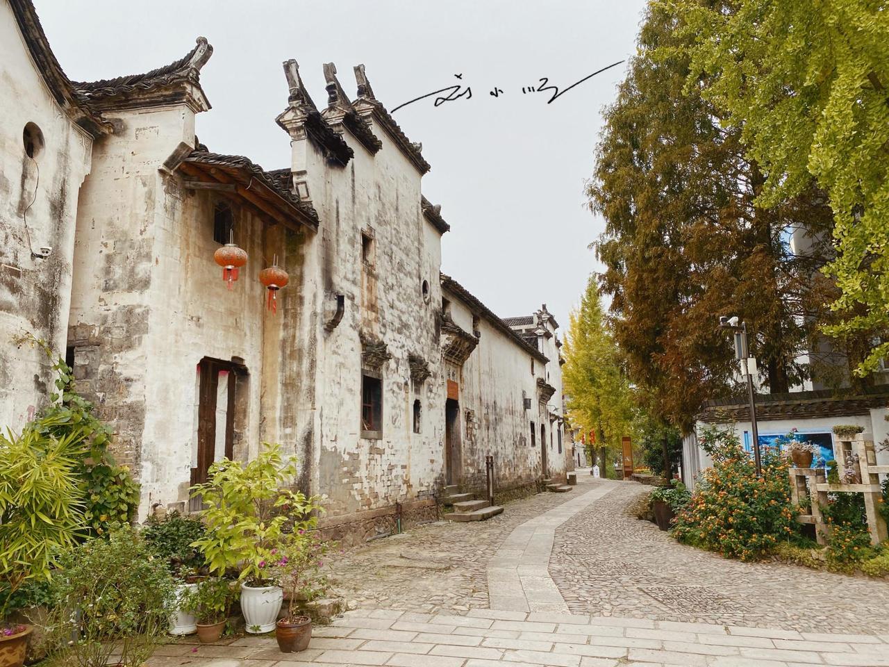 浙江缙云有个低调的千年古村，作为全国重点保护文物，游客还不多？

缙云县位于浙江
