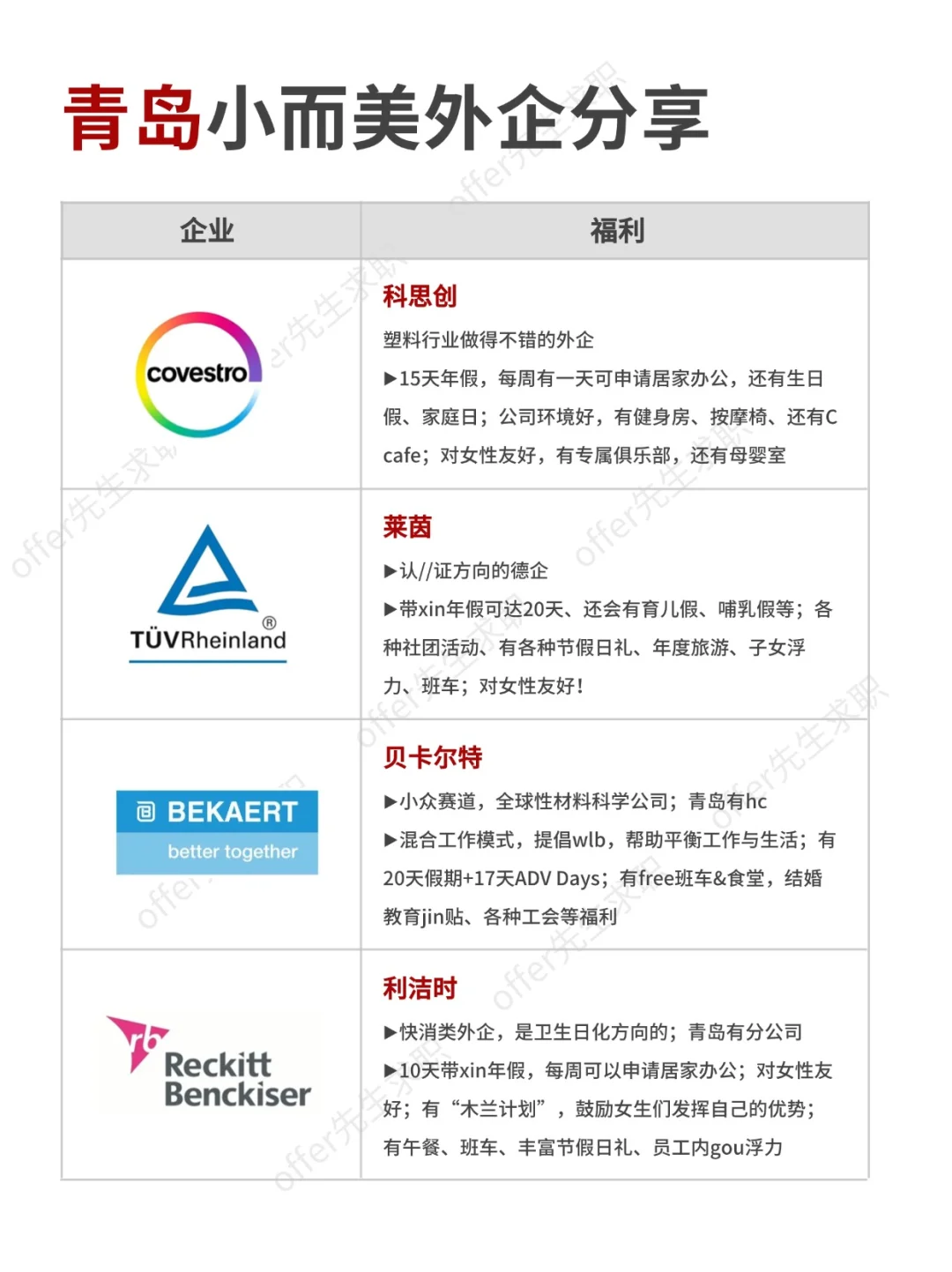 青岛值得去的小而美外企