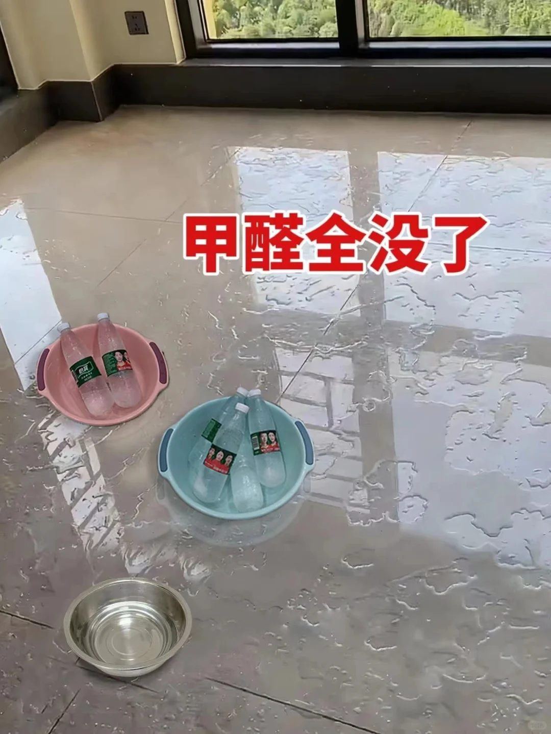 除醛28天成功下车！能教一个算一个！！！