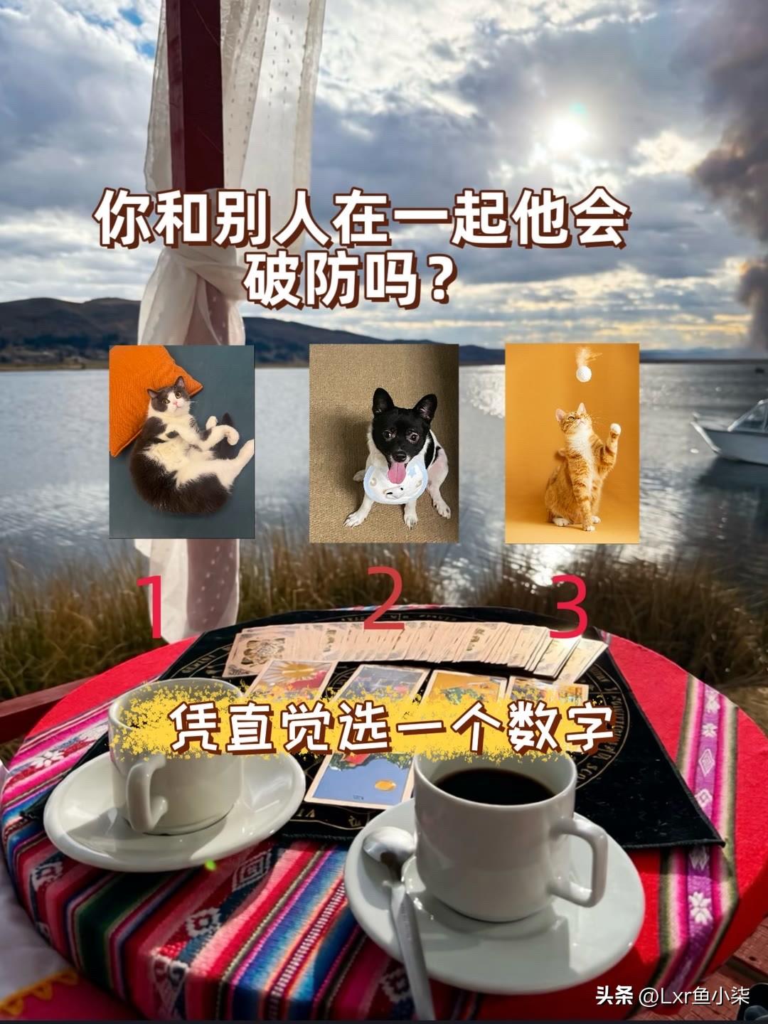 破防吗?
凭直觉选一个数字