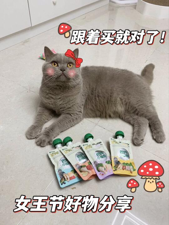 女王节猫湿粮攻略