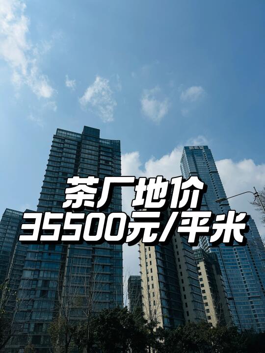 你可能不认识我！但是我是成都楼面价亚军🥈