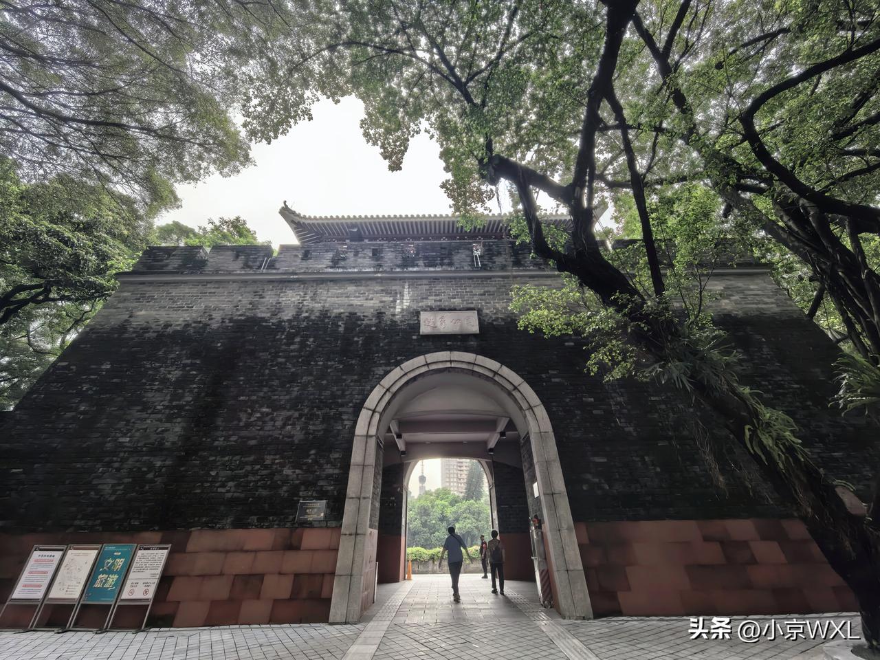 放慢脚步重走一次越秀山
随手拍公园美景
近来听说越秀山发现有蛇，有人被咬了（据说