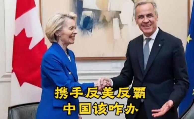 欧盟联手加拿大，让美国很不爽，中国应顺势而为